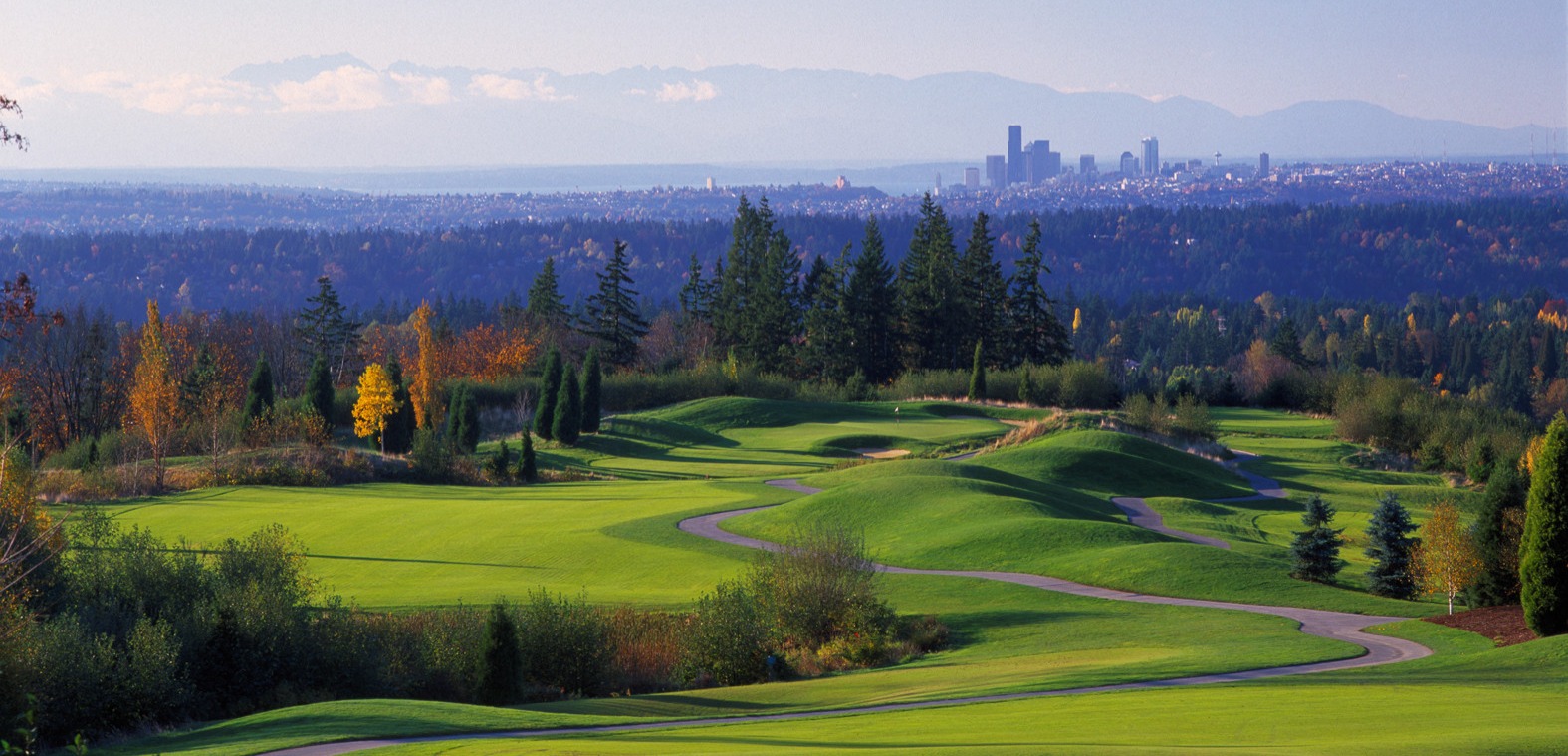 Making moves fast, simple, and stress-free for families and businesses in Newcastle, WA
