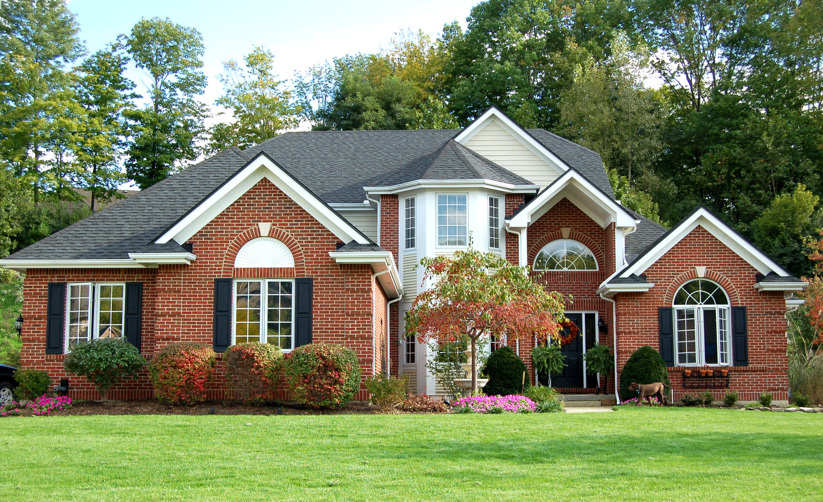 We make moving stress-free, simple, and fast for families and businesses across West Bellevue, WA