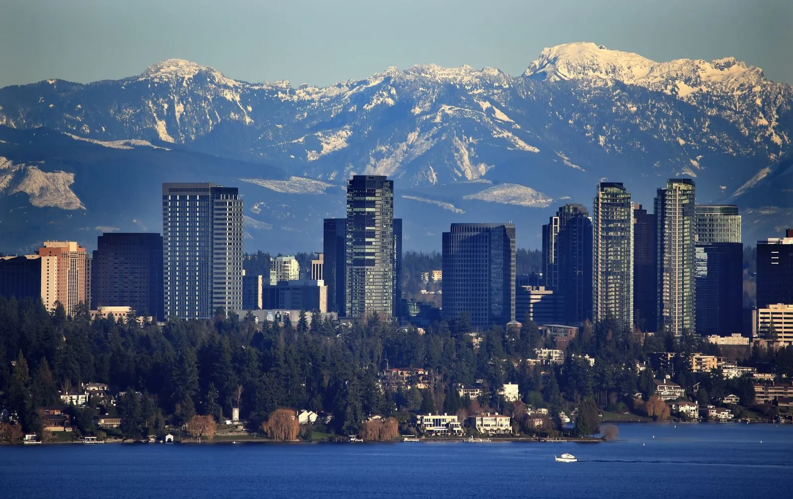 Making moves stress-free, simple, and fast for families and businesses in Bellevue, WA
